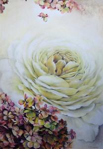 weiße Rose in Hortensien               